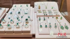 专家学者齐聚广西梧州 共探人工智能赋能宝石产业升级